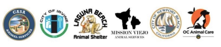 You Can’t Buy Love, but You Can Adopt It at an Orange County Animal Shelter