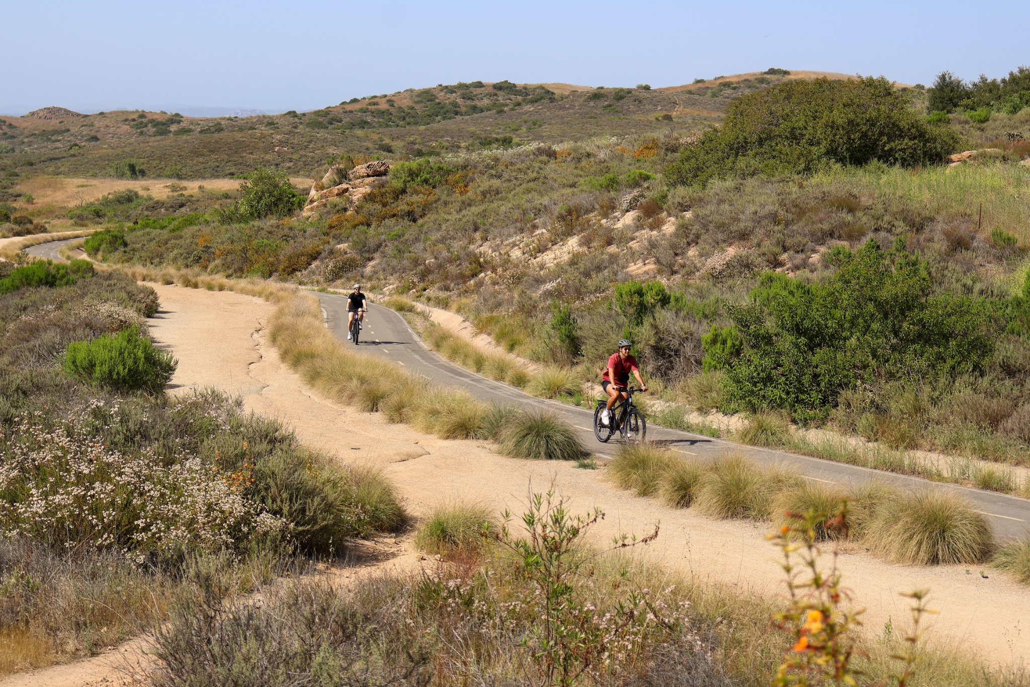 Fatal Rattlesnake Bite in Orange County Sparks Safety Concerns When Hiking