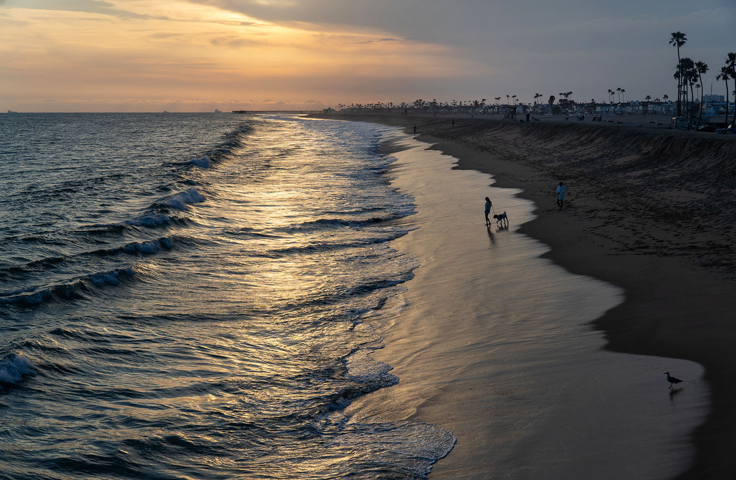 Newport Beach's Phantom Election